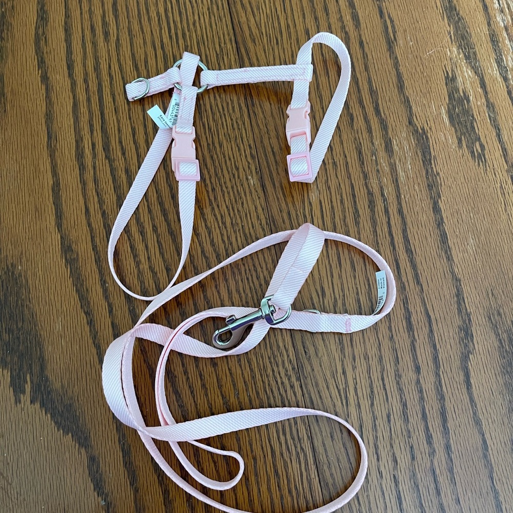 Small cat harness and leash